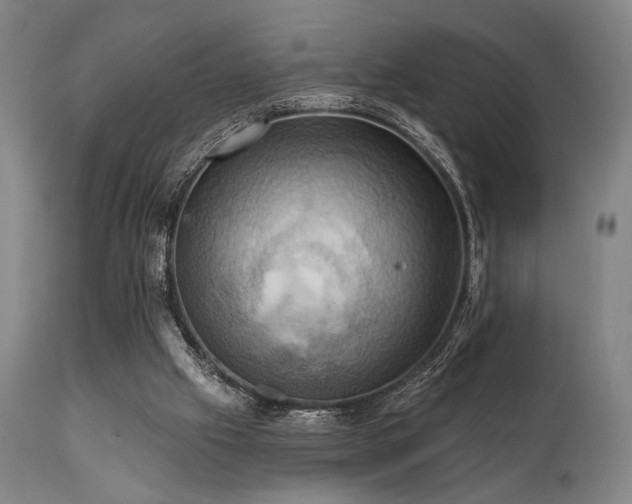 X0000112030057200908031446