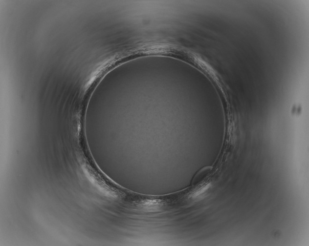X0000112030059200908031446