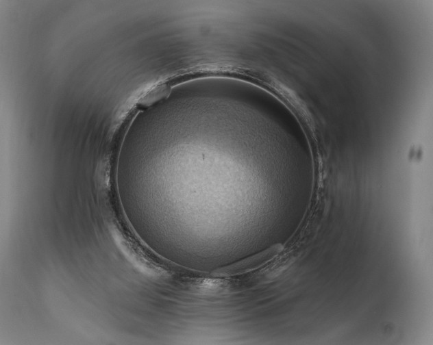 X0000112030060200908031446