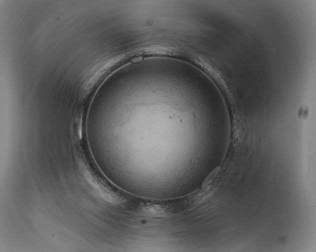 X0000112030062200908031446