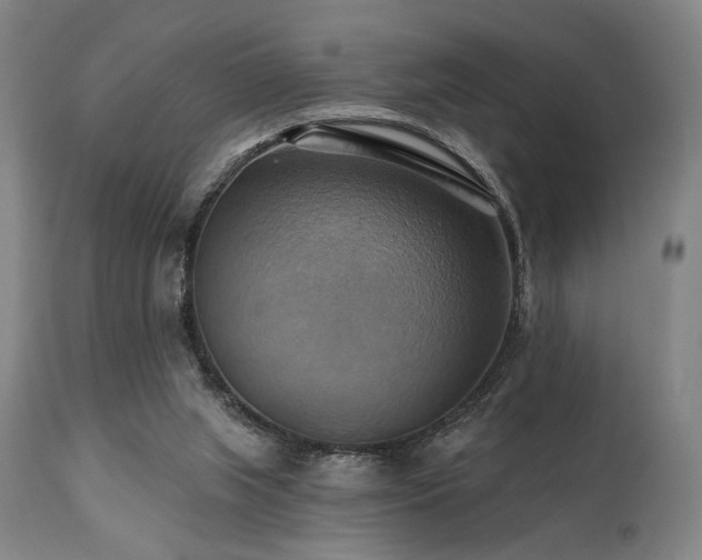 X0000112030063200908031446