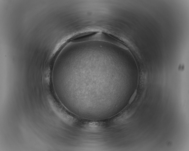 X0000112030064200908031446