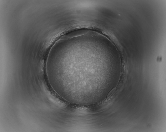 X0000112030066200908031446