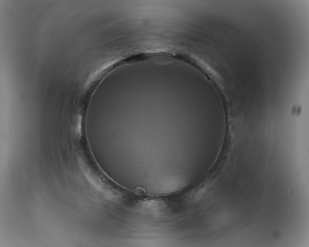 X0000112030067200908031446