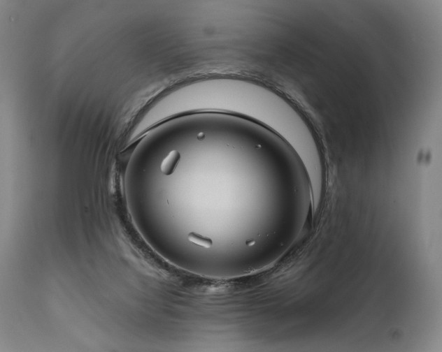 X0000112030068200908031446