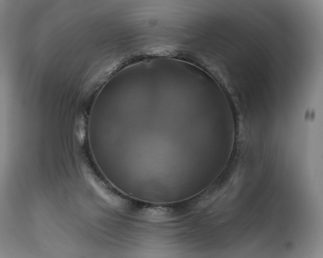 X0000112030069200908031446