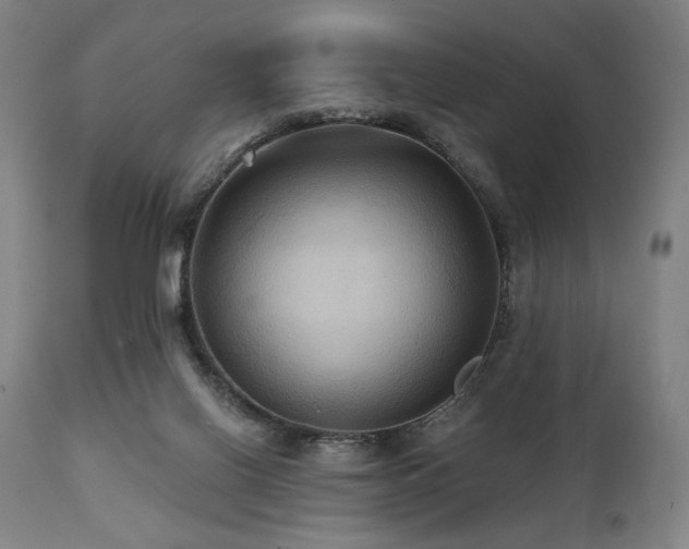 X0000112030070200908031446