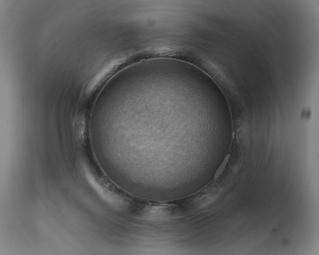 X0000112030072200908031446