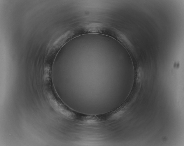 X0000112030073200908031446