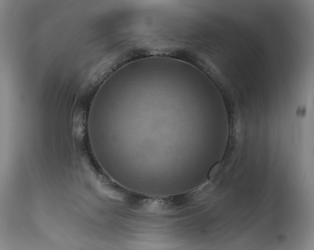 X0000112030074200908031446