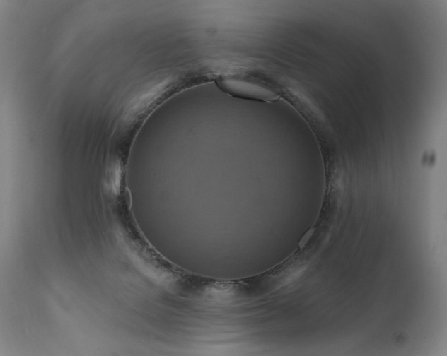 X0000112030076200908031446