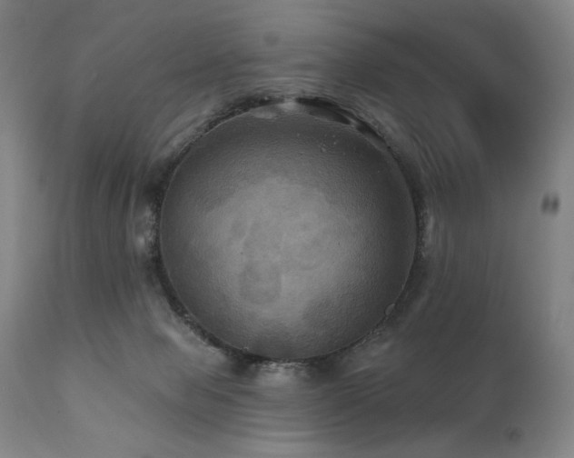 X0000112030077200908031446
