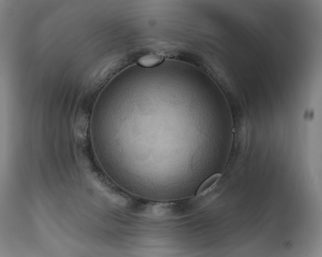 X0000112030078200908031446