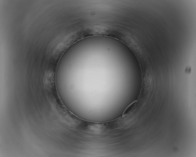 X0000112030079200908031446