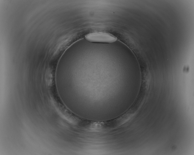 X0000112030080200908031446
