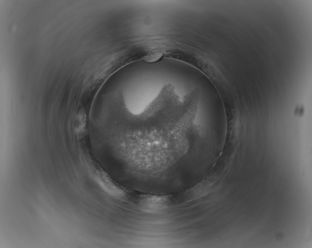 X0000112030081200908031446