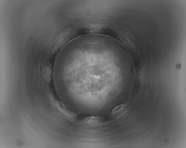 X0000112030082200908031446