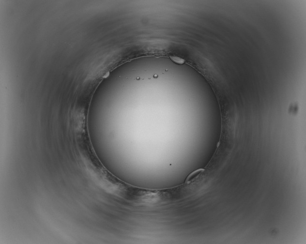 X0000112030083200908031446