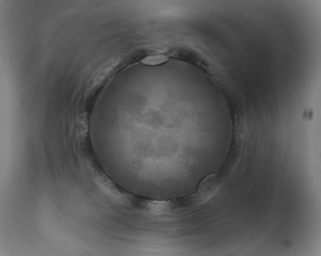 X0000112030085200908031446