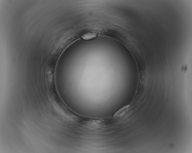 X0000112030086200908031446