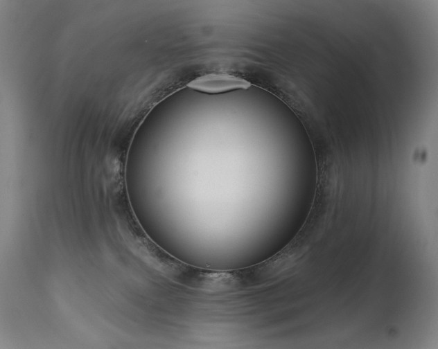 X0000112030087200908031446