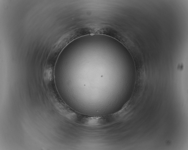 X0000112030090200908031446