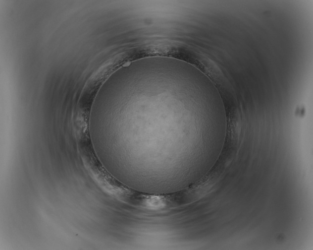 X0000112030091200908031446