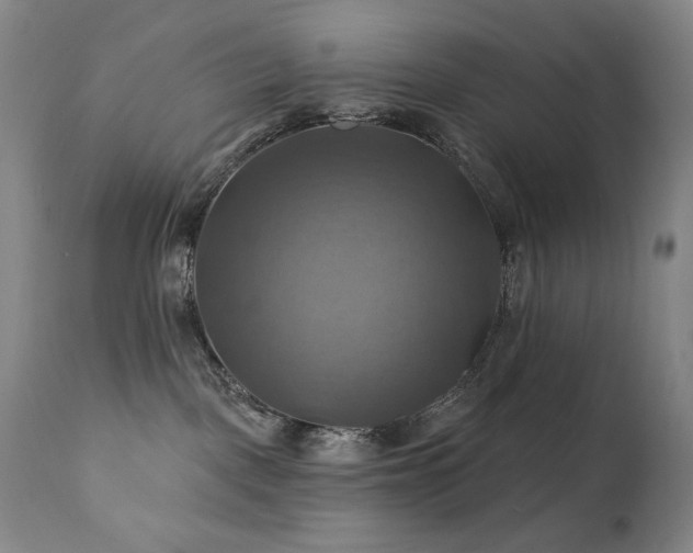 X0000112030093200908031446