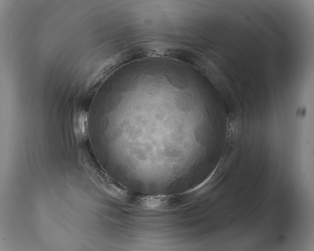 X0000112030094200908031446