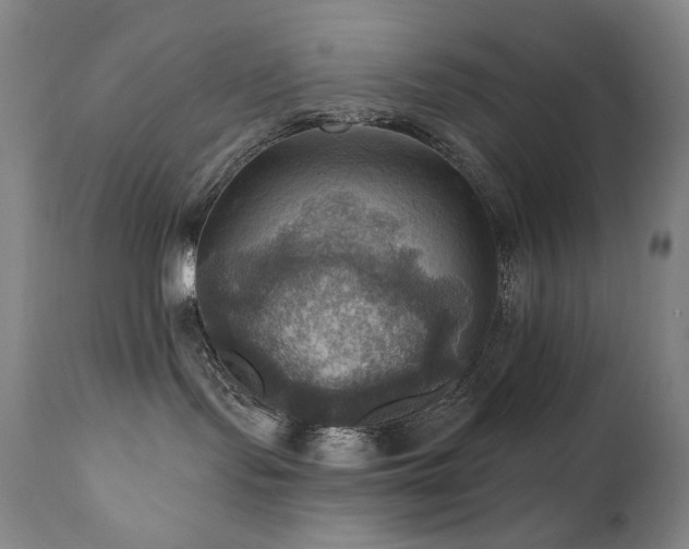 X0000112030095200908031446
