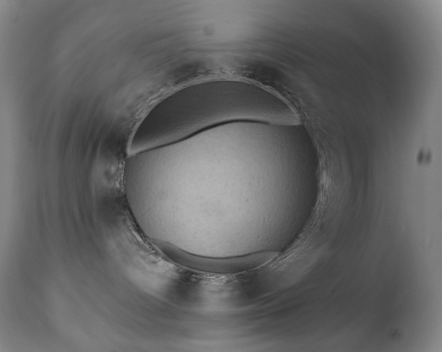 X0000112030096200908031446