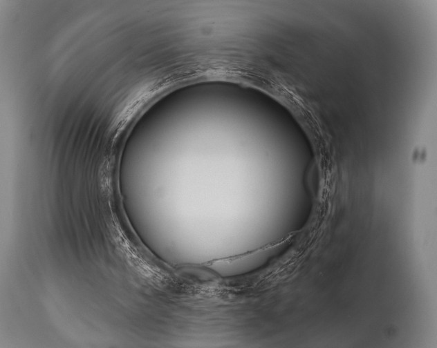X0000112030098200908031446