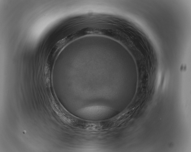X0000112030099200908031446