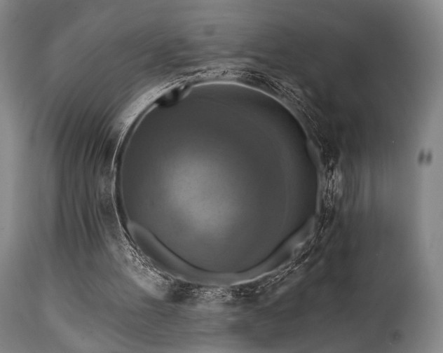X0000112030100200908031446