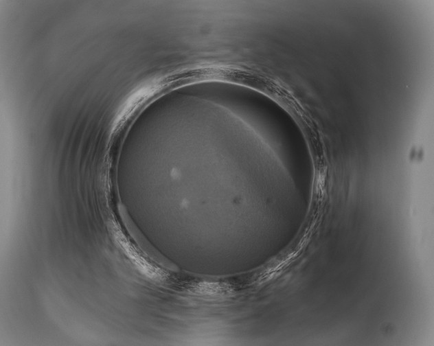X0000112030101200908031445