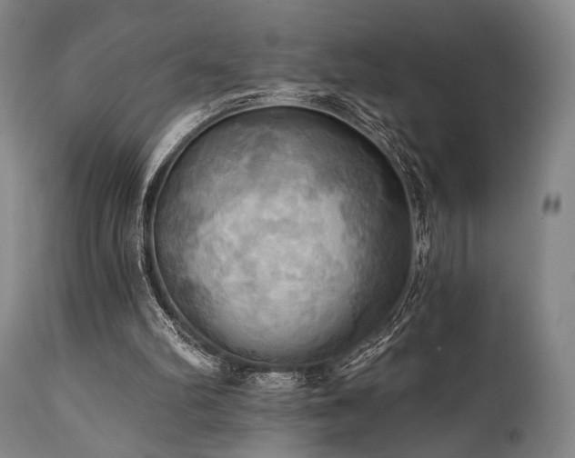 X0000112030102200908031445