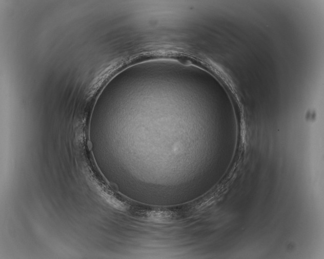 X0000112030105200908031445