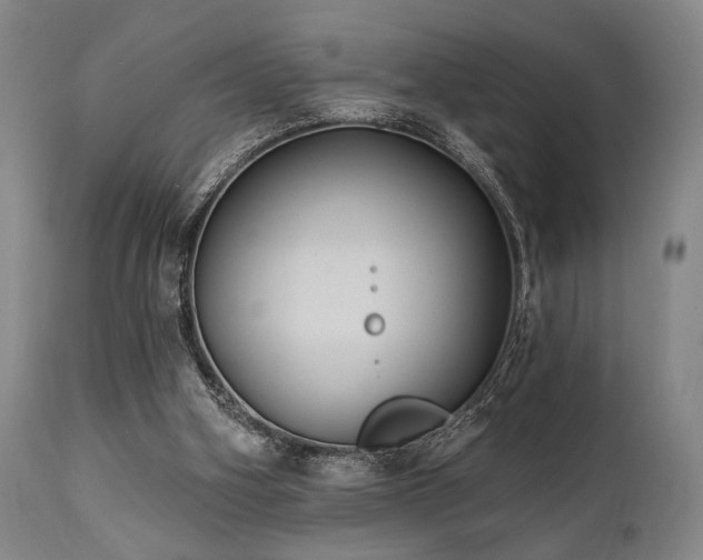 X0000112030106200908031445