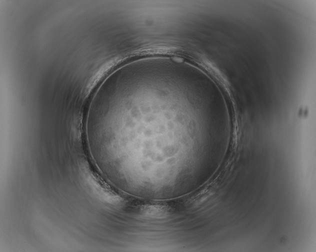 X0000112030107200908031445