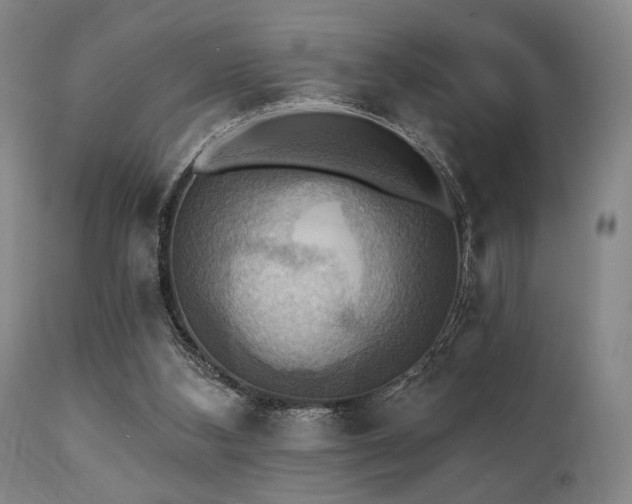 X0000112030108200908031445
