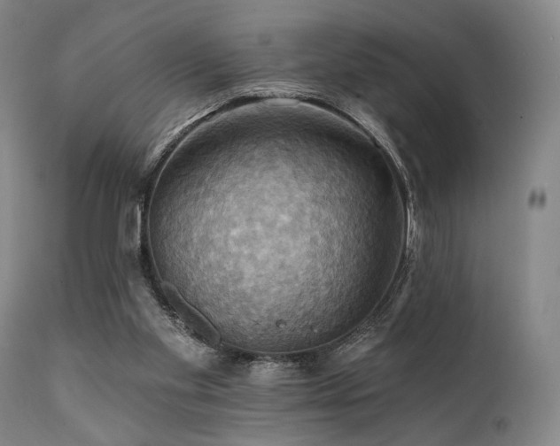 X0000112030109200908031445
