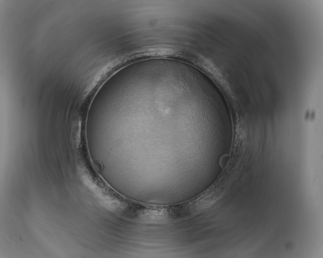 X0000112030110200908031445