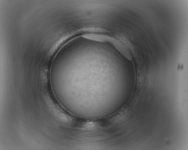 X0000112030111200908031445