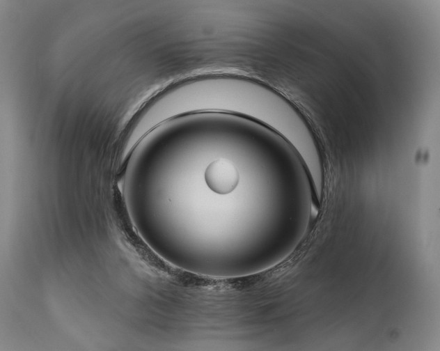 X0000112030112200908031445