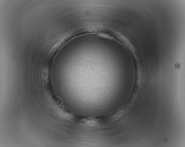 X0000112030113200908031445
