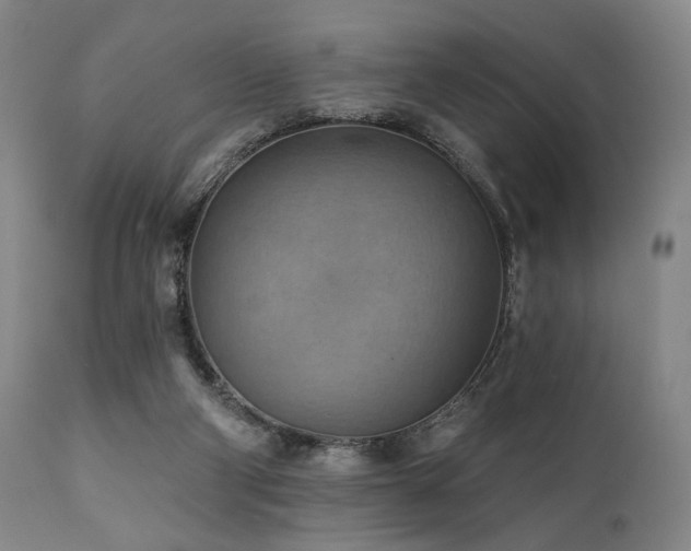 X0000112030114200908031445
