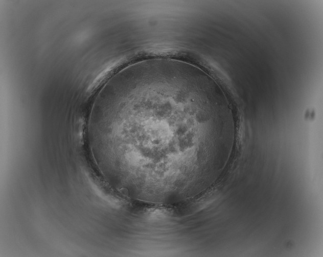X0000112030115200908031445