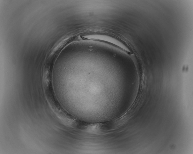 X0000112030116200908031445