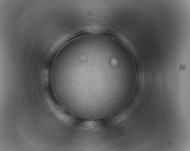 X0000112030117200908031445