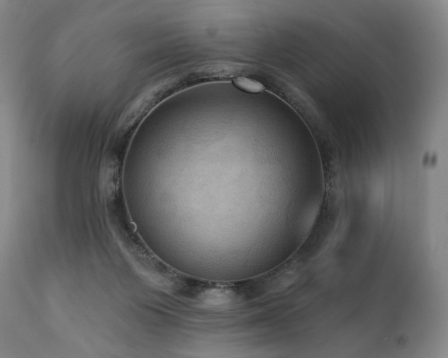 X0000112030119200908031445